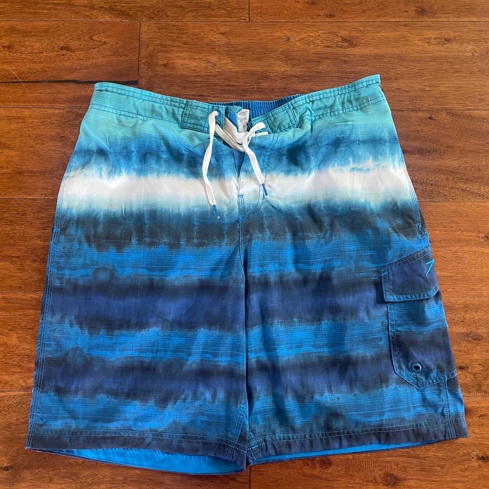 Speedo Ocean Blue and Green Swim Trunks